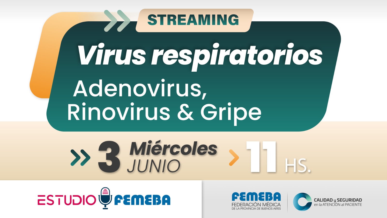 Streaming #18 de Estudio FEMEBA. Virus respiratorios: adenovirus, rinovirus y gripe.